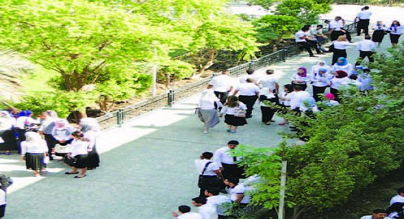 قريبا.. وزارة التعليم العالي تطلق دليل الطالب