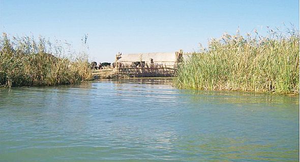 الموارد تطلق ملياري متر مكعب من المياه للأهوار