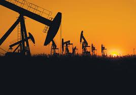 الزراعة والصناعة أفضل بدائل النفط