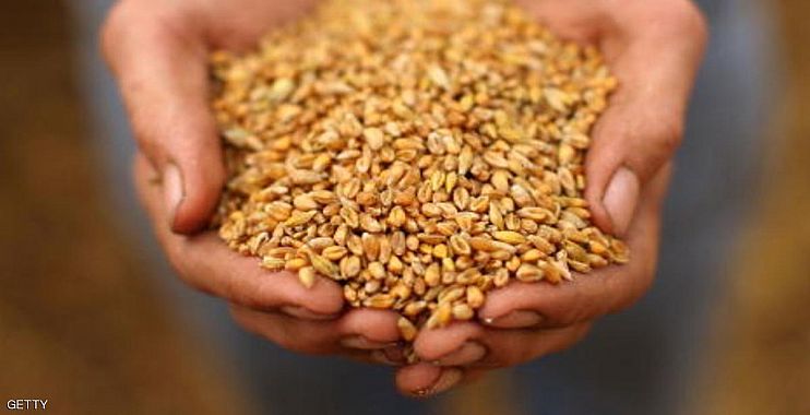 الاستمرار بتجهيز المطاحن بخلطات الحبوب ووكلاء التموين بمادة الرز