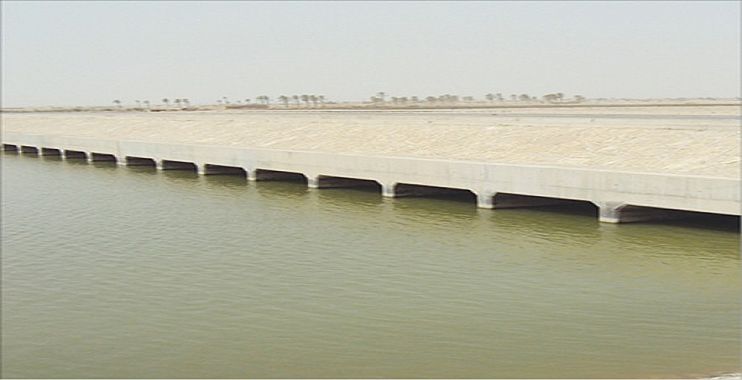 لجنة مشتركة لحل المشاكل الإروائية في الديوانية