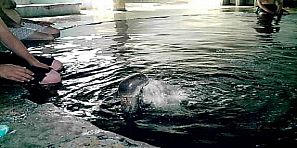 بالفيديو : عودة الحياة من جديد الى منطقة حمام العليل