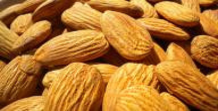 عش أطول”.. بإضافة عنصر واحد للفطور